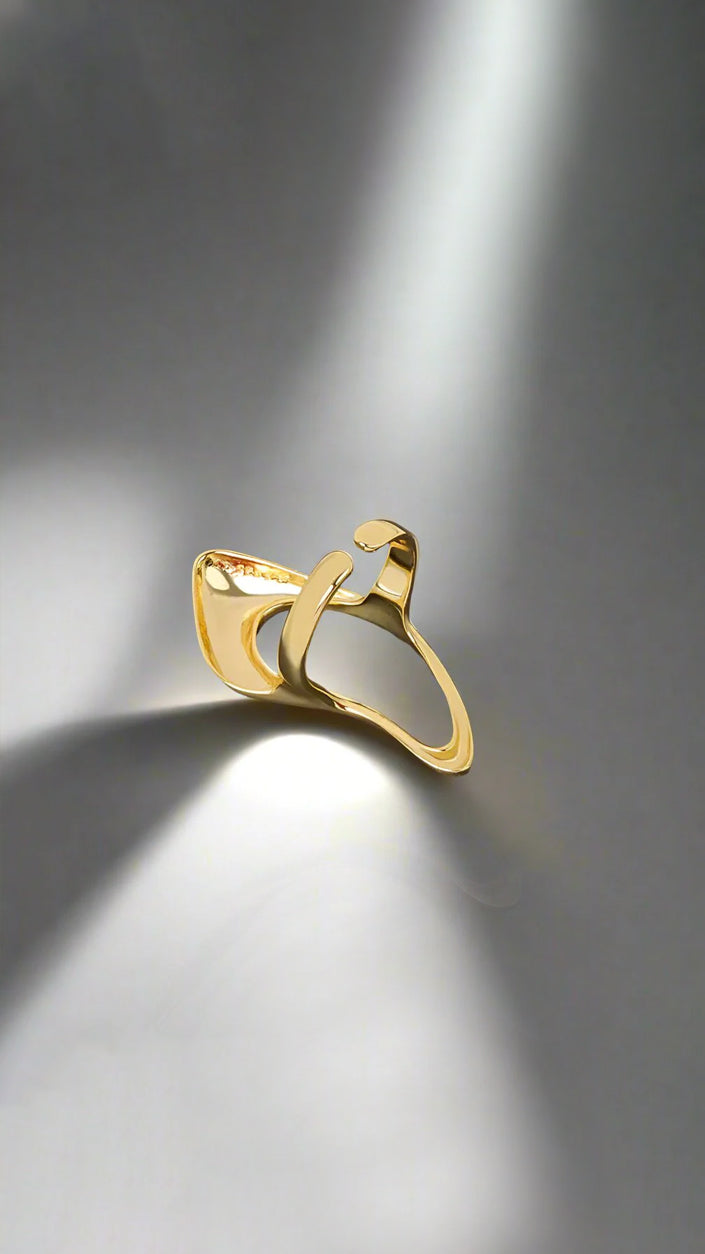 Abstract Melting Ring